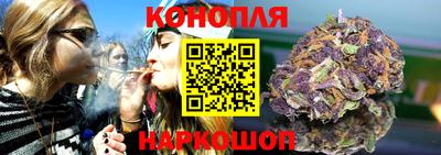 бошки Новозыбков
