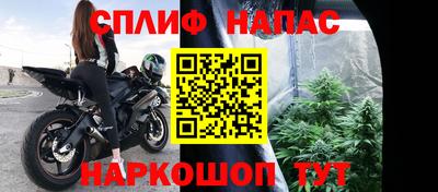 Альфа ПВП Новодвинск