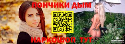 Альфа ПВП Новодвинск