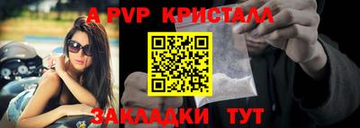 Альфа ПВП Новодвинск