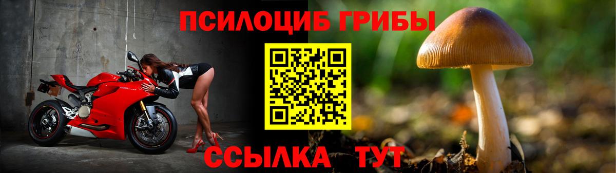 Псилоцибиновые грибы Cubensis Острогожск